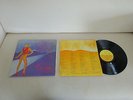 VG+ Roger Waters Pros And Cons Of Hitch Hiking LP Clapton Pink Floyd Cut Animals