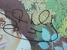 CHICKEN SHACK - Imagination Lady (HAND-SIGNED by STAN WEBB) BLUES