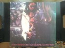LP LENNY KRAVITZ  are you gonna go may way .   unplayed  RUSSIA