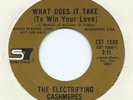 NORTHERN SOUL ELECTRIFYING CASHMERES  