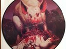 Metallica The Pigs are alright live Bradford 88 2 vinyl picture LPs