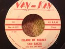 45 ROCKABILLY JAY BEES ON JAY KAY EL PASO PRIVATE LABEL VG++