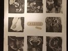 Pixies ?– Pixies Live  VINYL LP  RECORD ALBUM  SINGLE SIDED RARE