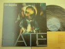 DELGADOS Hate LP Vinyl 2002 UK MANTRA MNTLP1031