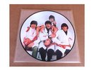 New The Beatles Butcher Cover Picture Disc Yesterday & Today Pic Disc Free Shipp