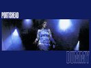 PORTISHEAD-DUMMY,  VINYL RE-ISSUE LP NEW SEALED