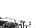 TIMBER TIMBRE-HOT DREAMS (LTD.COLOUR REPRESS+MP3)-VINYL LP FULL TIME NEU