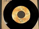 45 Record-Baby Earl Trini-Dads-Everybody Do The Ska-SPQR-Promo-1960s, Mint-, EMX