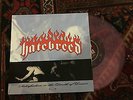 HATEBREED Satisfaction LP Pink Vinyl VERY RARE Turnstile Rotting Out Slipknot