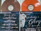 Skinfull-Yesterday's Glory/SKINHEAD Oi PUNK