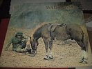 WARHORSE S/T  ORIG SWIRL VERTIGO  PROG PSYCH DEEP PURPLE MAY BLITZ CATAPILLA
