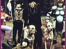 LP Bonzo Dog Doo-Dah Band The Doughnut In Grannys Greenhouse NEAR MINT Edsel