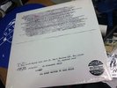 TY SEGALL ty rex EP LTD ED RARE MINT RSD 11' GARAGE LO FI jay reatard marc bolan