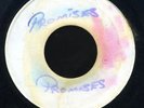 1228 VICEROYS-PROMISES-I'M RIGHTEOUS-MATADOR PRE-REGGAE 45 7