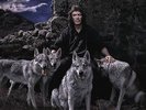 STEVE HACKETT - WOLFLIGHT - NEW VINYL LP+CD