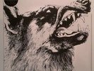 Crippled Black Phoenix ?- I, Vigilante Clear LP Neu
