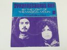 BY THE LIGHT OF THE MAGICAL MOON - TYRANNOSAURUS REX -  7