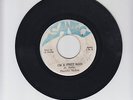 SANTIC/I'M A FREE MAN  -  FREDDIE MCKAY  (73 REGGAE ROOTS 7
