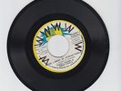 HARRY J/THE LAMENT OF THE AFRICAN PEOPLE  -  FUNKY BROWN ( REGGAE ROOTS 7