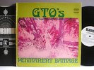 GTO'S, Girls Together Outrageously,PERMANENT DAMAGE 1969 PROMO, NEAR MINT, RARE