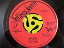 70's SOUL 45 The Tams-This Precious Moment/Hey Girl-Sounds South M- HEAR