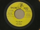 GROUP TELL ME WHY SHORE BIRD orig US G45 GARAGE FOLK ROCK FUZZ  7
