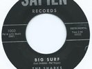 RARE R&B / SURF   THE SHARKS  