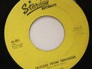 LINK DAVIS trucker from tennessee 45 on STARDAY ---  rare rockabilly --- LISTEN