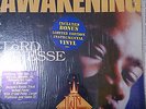 Lord Finesse - The Awakening '95 LP US ORG Special Limited Edition Instrumental