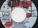 Carlton Livingston ?– Trodding Through The Jungle ORIG JA 7