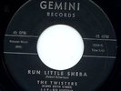 The Twisters  Soul Doo Wop 45 Record GEMINI Run Little Sheba Truly HEAR