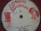 BOBBY MELODY - TRY SO HARD (KILLER JAH SHAKA ROOTS) LISTEN ?