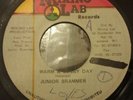 Junior Brammer Warm & Sunny Day killer Digi 7