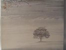 Genesis Wind And Wuthering (Charisma CDS 4005 LP) 1976 OG UK Press NM Vinyl