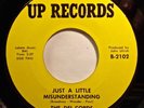 Soul 45 - Del-Cords - Just a little misunderstanding - Mint-