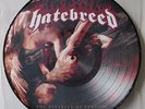 HATEBREED 'Divinity Of Purpose' Picture Disc Vinyl LP NEW