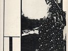 Sun Ra - When Sun Comes Out - Original Press Yellow Saturn LP 2066 - Near Mint