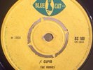 The Rudies Cupid BLUE CAT 7