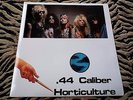 GUNS N' ROSES .44 Caliber Horticulture Live CBGB 1987 & Practice Tapes RARE NEW
