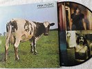 PINK FLOYD  ATOM HEART MOTHER  RARE Limited VINYL PICTURE DISC   GERMAN Import