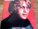 WARREN ZEVON   EXCITABLE BOY   ASYLUM 1978 K 53073 1st pressing   EX+/EX+
