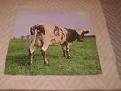 Pink Floyd  Atom Heart Mother  LP foc   auf Harvest   1C072-04550