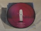ALTAMONT (aka STEVEN WILSON + SIMON VOCKINGS) - PICTURE DISC VINYL
