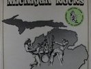 V/A (ft. MC-5, Stooges, Bob Seger) - Michigan Rocks LP - Seeds & Stems VG+