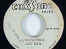 Alton Ellis/Jail Breakers 