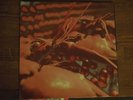 Fruits de mer CRANIUM PIE - MECHANISMS PT1 LP  RARE BLACK VINYL 