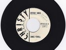 Doo Wop Vocal Group 45 James Powell 