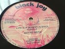 Wayne Smith Life Is A Moment In Space Rare Killer Roots 12