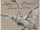 SUFJAN STEVENS Seven Swans LP 12 Track Original With Insert Sleeve Has Dent In O