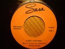 CUCA/SARA 45 RECORD/ BILLY B + COUNTRY IMPRESSIONS/ LAKE HAVASU/I LOST MY BLUES